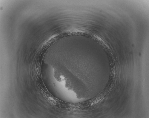 X0000087410870200704271710