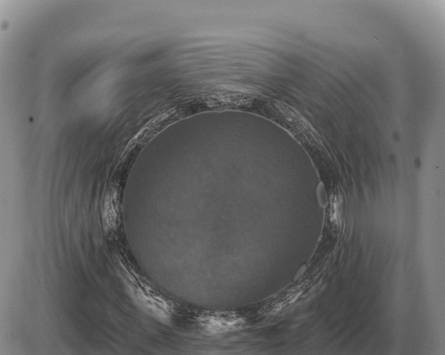 X0000087410915200704271708