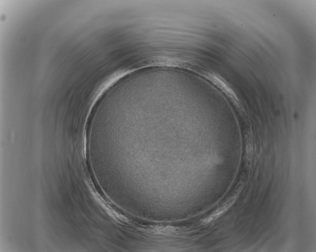 X0000087410940200704271708