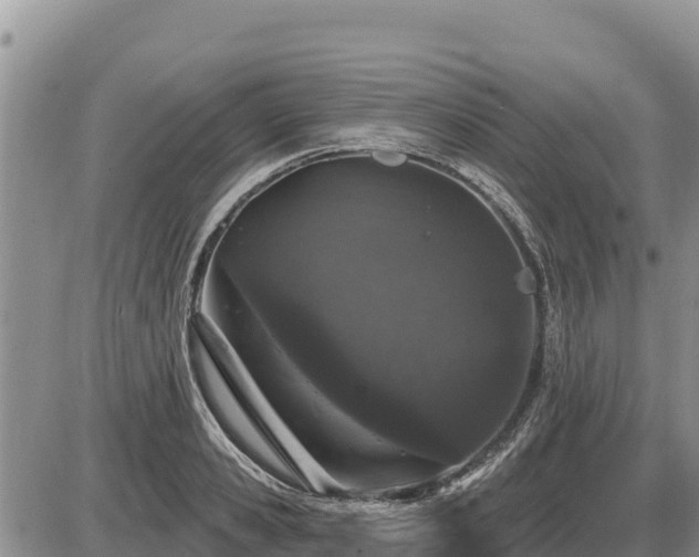 X0000087410941200704271709