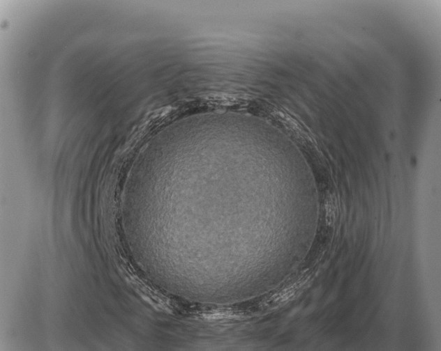 X0000087410961200704271708