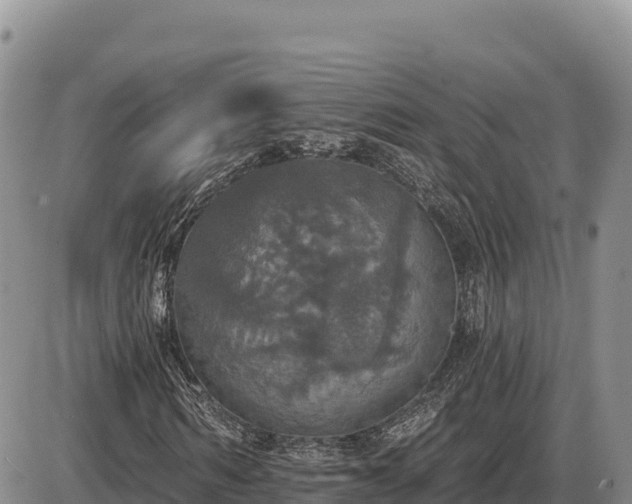 X0000087410962200704271708