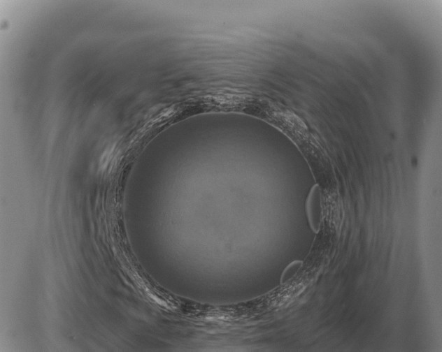 X0000087411009200704271706