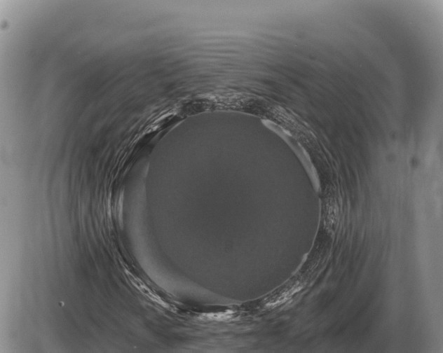 X0000087411010200704271707