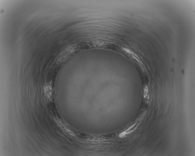 X0000087411011200704271707