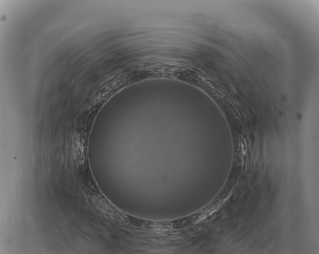 X0000087411013200704271707