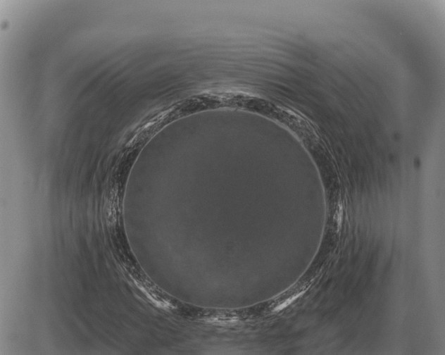 X0000087411014200704271707