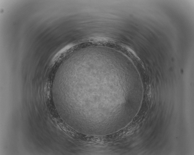 X0000087411016200704271707