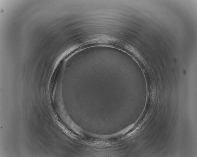 X0000087411026200704271707