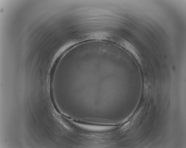 X0000087411035200704271707