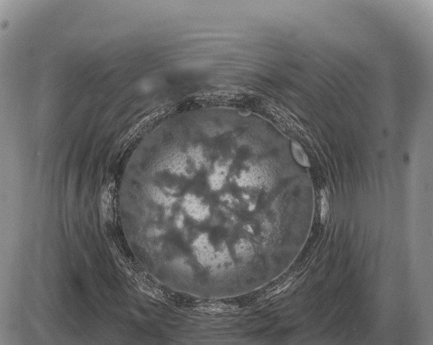X0000087411059200704271706