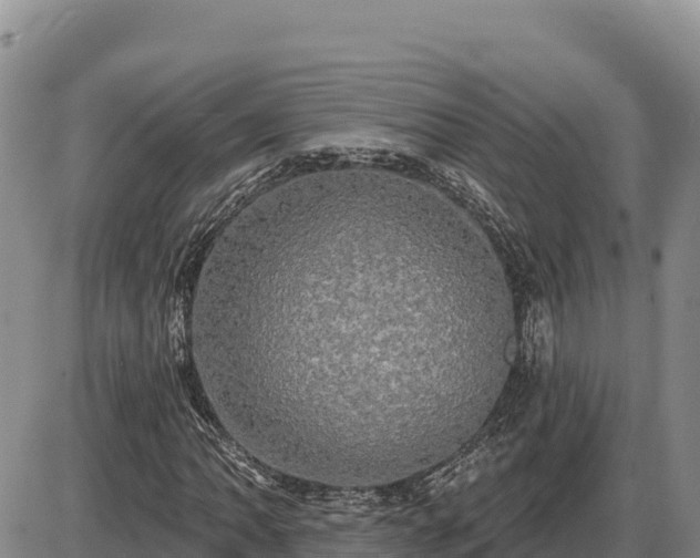 X0000087411062200704271706