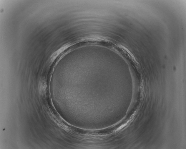 X0000087411065200704271706