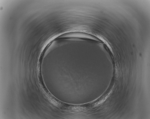 X0000087411077200704271706