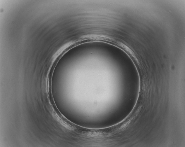 X0000087411082200704271706