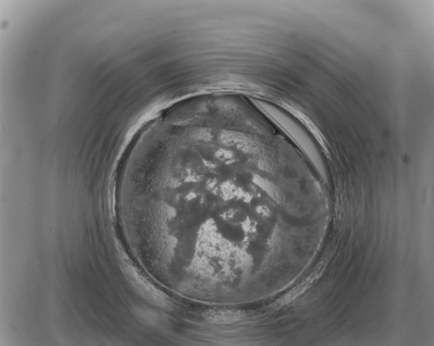 X0000087411083200704271706