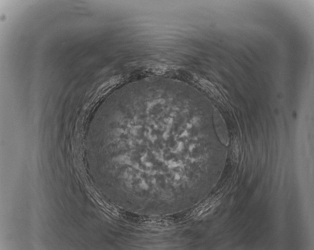 X0000087411105200704271705