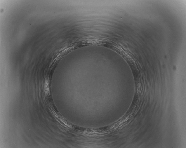 X0000087411106200704271705