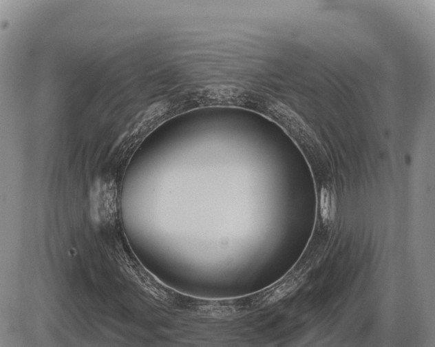 X0000087411107200704271705
