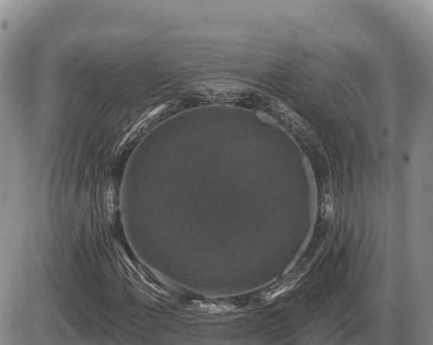 X0000087411108200704271705
