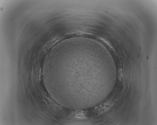 X0000087411111200704271705