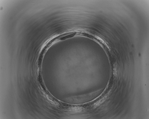 X0000087411117200704271705