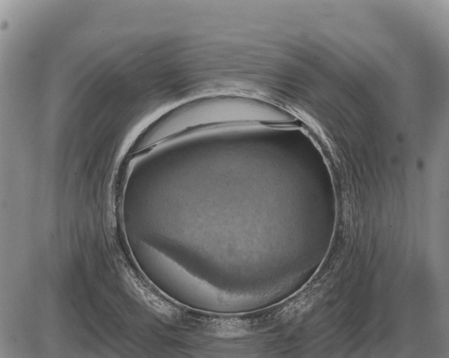 X0000087411120200704271705