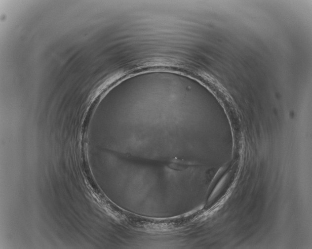 X0000087411121200704271705