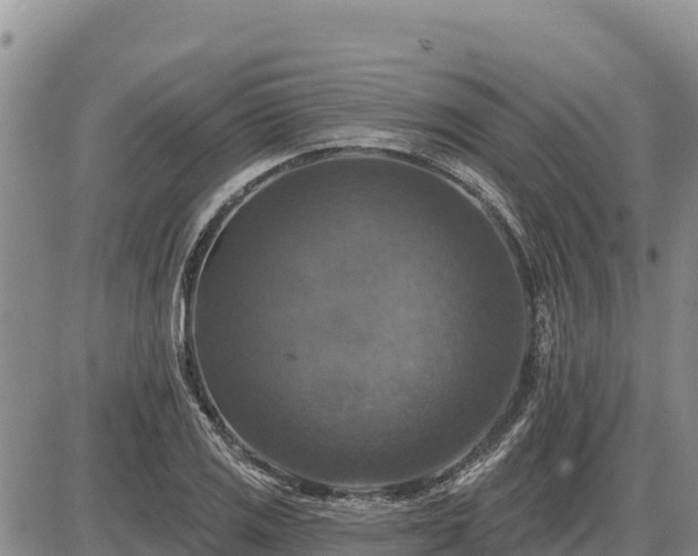 X0000087411125200704271705