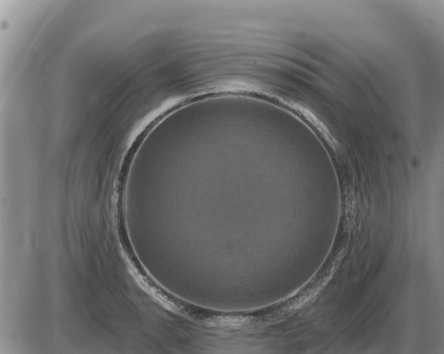 X0000087411134200704271705