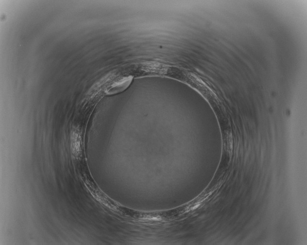 X0000087411154200704271705