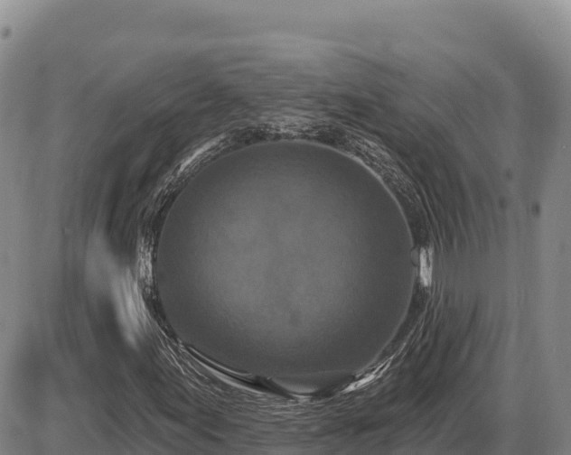 X0000087411155200704271705