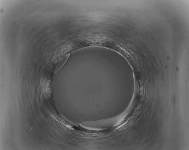 X0000087411156200704271705