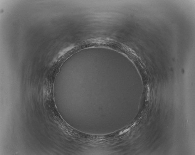 X0000087411158200704271705
