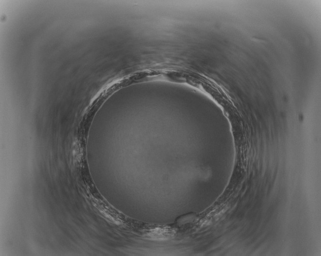 X0000087411160200704271705