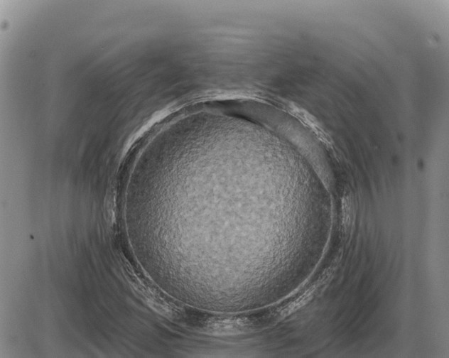 X0000087411165200704271705