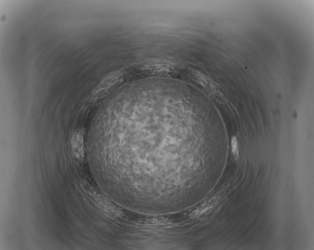 X0000087411203200704271703