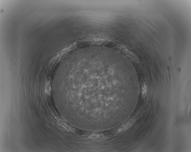 X0000087411204200704271703