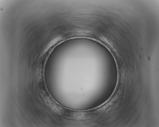 X0000087411211200704271704
