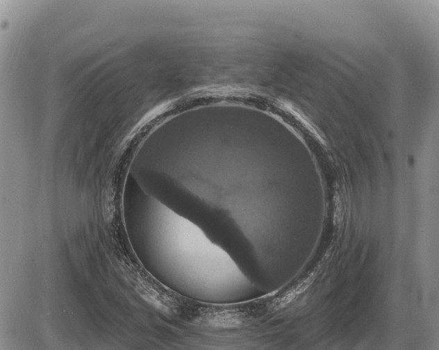 X0000087411213200704271704