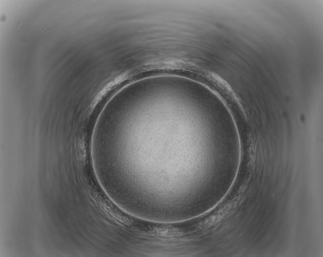 X0000087411218200704271704
