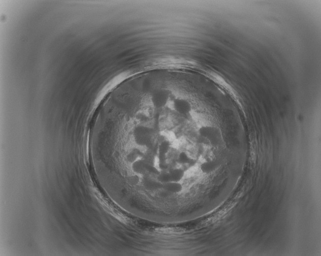 X0000087411227200704271704