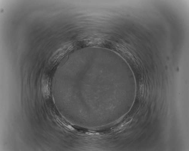 X0000087411250200704271703