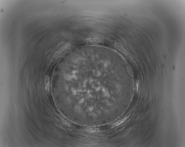 X0000087411251200704271703