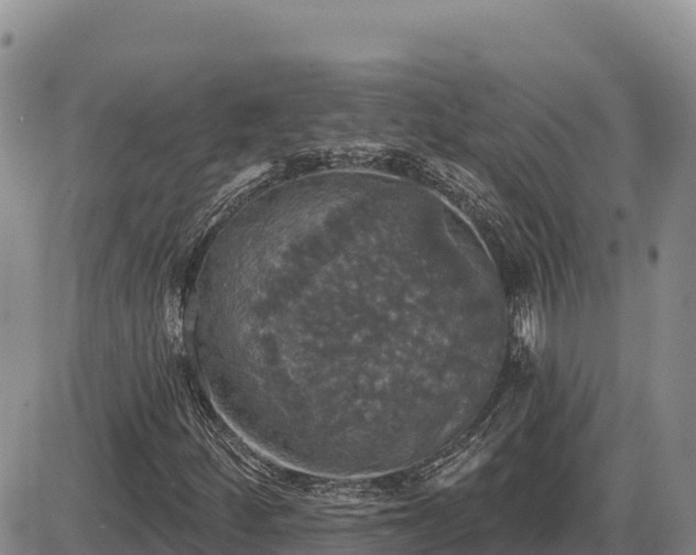 X0000087411252200704271703
