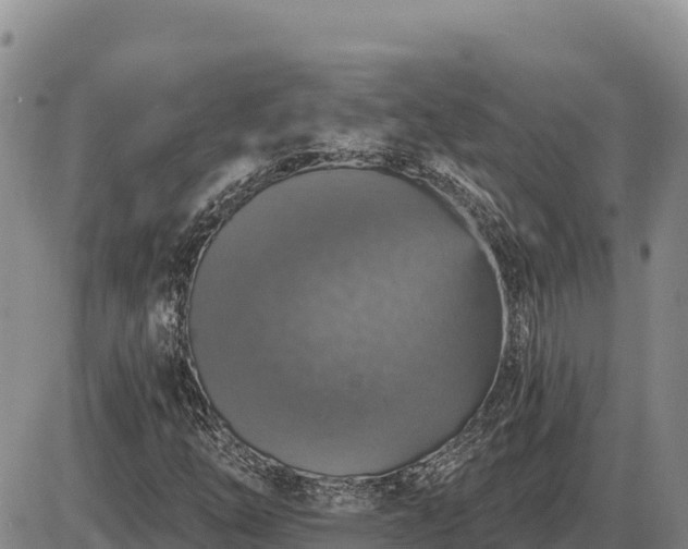 X0000087411254200704271703
