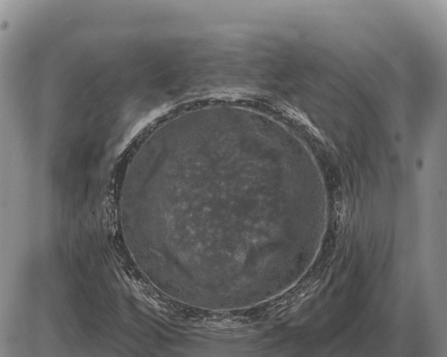 X0000087411256200704271703