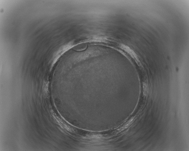 X0000087411260200704271703
