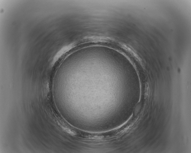X0000087411261200704271703