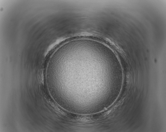 X0000087411262200704271703